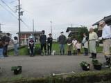 PTAの皆さんとさつまいもの植え付けを行いました。