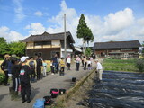 みんな元気にさつまいも苗の植え付け🍠