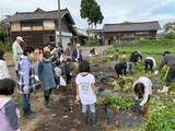 秋の収穫！　サツマイモ掘りをしました